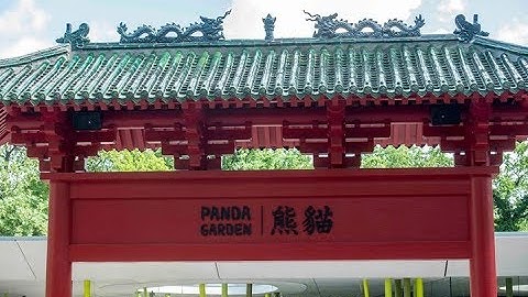 Xi Jinping attends welcome ceremony for giant pandas at Berlin Zoo