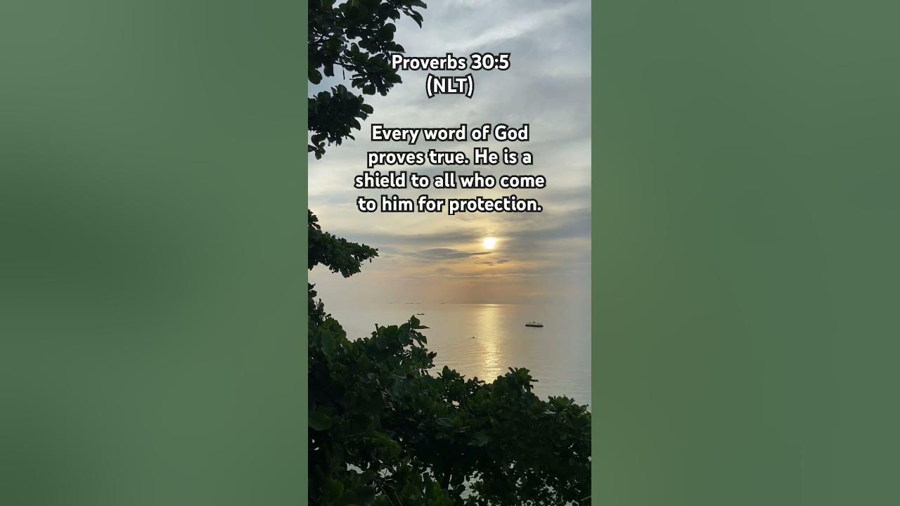 proverbs-30-5-nlt-a-word-of-wisdom-youtube
