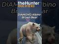 diamond albino brown bear in thehunter cotw full video out on channel #cotw #thehunter #bear