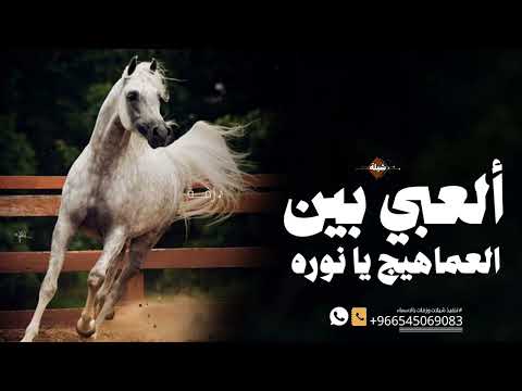 شيلة العبي بين العماهيج يا نوره رقص اداء أبو بدر 2025