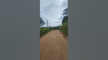 Đường đẹp thôn Đa Quý xã Xuân Thọ, Đà Lạt p014 #short