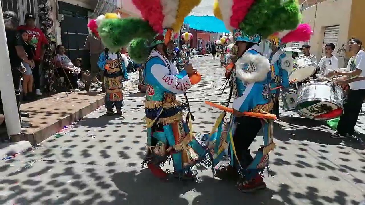 Casta De Guerreros Toltecas de Ags 