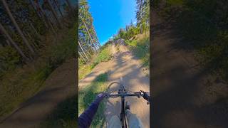 POV: WEXL TRAILS never disappoints 🔥