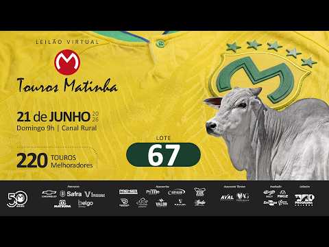 LOTE 67