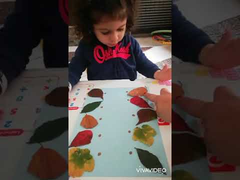 Vidéo: 5 couleurs principales de l'automne