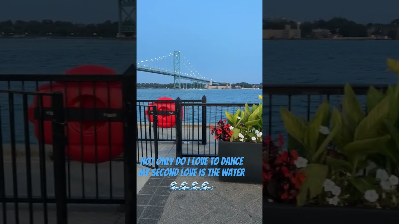 My City Has Amazing Views Detroit 313 Michigan