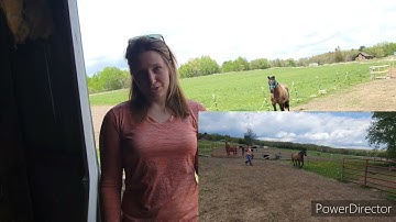 Catch a Hard to Catch Horse