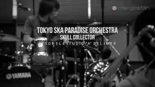 Tokyo Ska Paradise Orchestra / Skull Collector 東京スカパラダイスオーケストラ