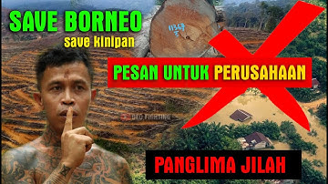 TEGAS🔥 Pesan Panglima Jilah untuk Perusahaan (JANGAN SERAKAH) Save Kinipan Save Borneo