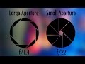 Learn Photography - Aperture Tutorial!