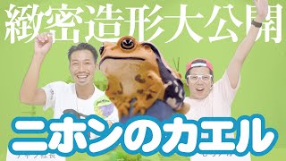 【ニホンのカエル】造形の制作現場を初公開！