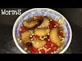 Amazing children dare to eat worms alive how to make worms sauce food