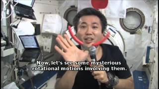 Learning with Astronauts 