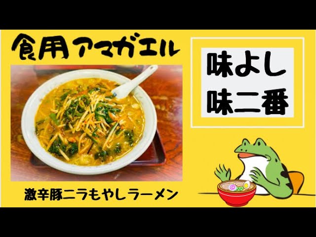 秋田県大仙市 味よし 味二番 入口ものれんも２つある風変わりなお店で 激辛豚ニラもやしラーメン を食す カエルの女房は Youtube