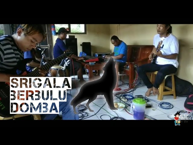 SRIGALA BERBULU DOMBA cover latihan (voc. Yuyun)