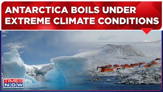 World News Live: Extreme Climate Conditions in Southernmost Continent, Temperature Break Records