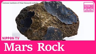 Martian meteorite to go on display at 2025 Osaka Expo - YouTube