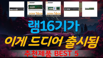 램16기가 추천, 역대급 할인합니다! 가성비 TOP5