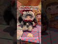 Nommi V12 About the Childhood #nommi #minisoblindbox #minisoidrekomen