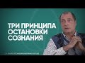 Как остановить сознание?  Отказаться от цели, "не думать о завтрашнем дне". Смысл нашего сознания.