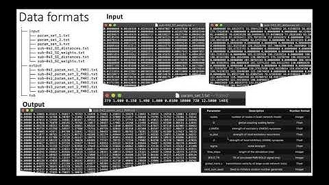 "TVB - EBRAINS: Fast TVB" - MIchael Schirner