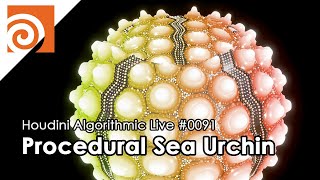 Houdini Algorithmic Live #091 - Procedural Sea Urchin