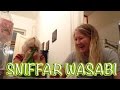 Jenny och sara i budapest  sniffar wasabi