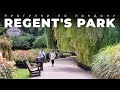 Прогулка по Лондону: Regent’s Park
