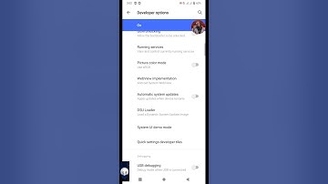 Developers option Demo Mode tricks