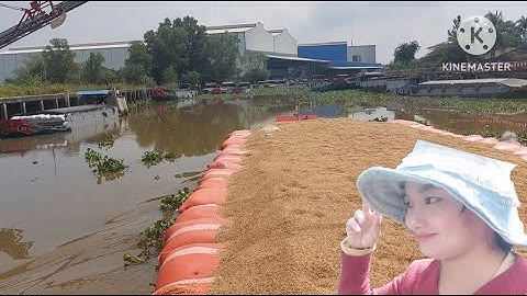 Ghe Nàng Hai về tới nhà máy