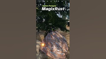 Admin Rust #shorts #adminrust #rust #раст #админ