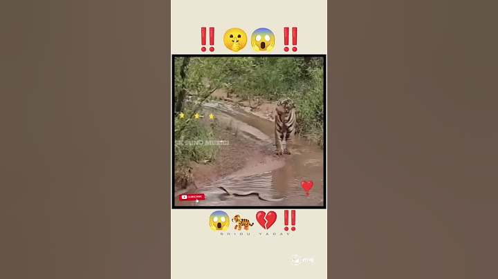 Santa Claus India Kyu Nahi Aata 😂