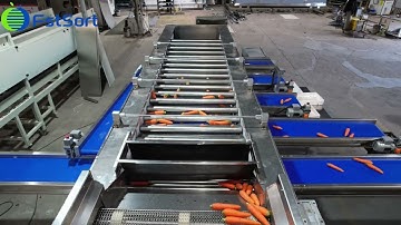Adjustable carrot washing drying sorting machine