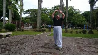 Taiji Qigong Shibashi ~ Set 1