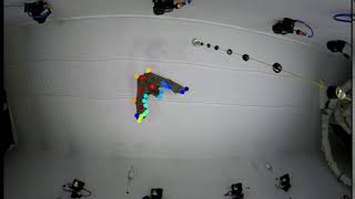 Bats flight tracking.