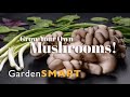GardenSMART Tips, Growing Mushrooms