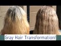 How to Transition to Natural Gray Hair! Dye and Tone!