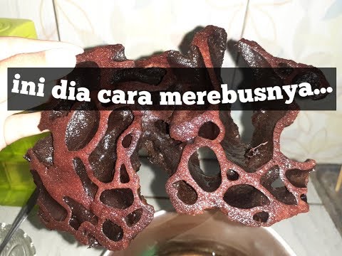 Video: Cara Memanggang Semut