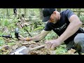 Wow ! inside the cellar hole was loaded with coins &amp; relics metal detecting