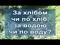 Українська мова. За водою чи по воду?