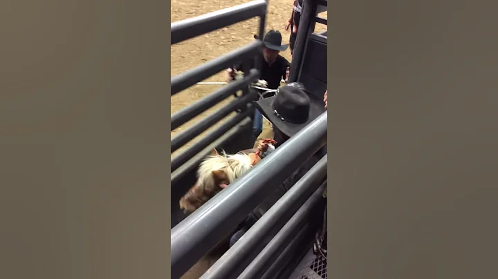 Rodee Owen DeMers NRA Finals