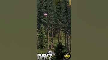 FLAG SET BASE UP 👑🔥LETS GO DAYZ #short #shorts #shortvideo #shortsvideo #gaming #viralvideo