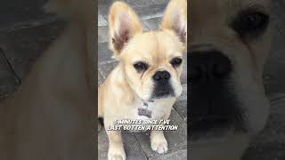 Nellie Needs All The Attention