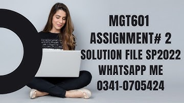 MGT601 assignment 2 sp2022 mgt 601