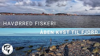 Havørred 🐟 Fiskeri 🎣 Åben kyst til bunden af Fjord