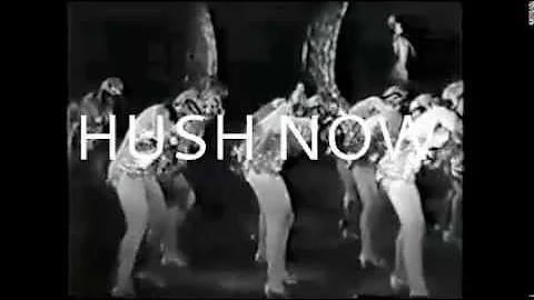 HUSH NOW by SUNNY LEVINE -full album of videos compiled