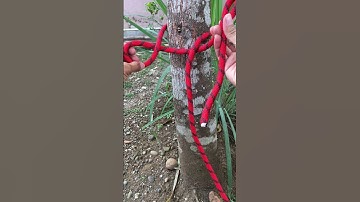 Amazing Loop Knots With Quick Release  #knots #rope #knotting