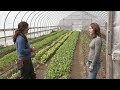 High Tunnels and Season-Extension Technology - In the Alaska Garden with Heidi Rader