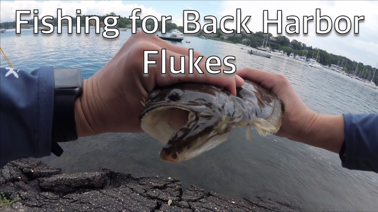 Fishing For Back Harbor Flukes Flounder With The St Croix Legend Tournament Inshore Rod 4k60 Youtube
