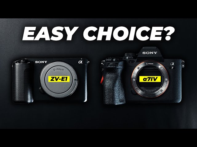 Sony A7IV vs Sony A7III - How big is the difference? 